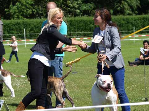 Zomershow 15 juni 2013 